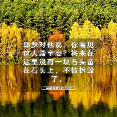 Picture 05 - 马 可 福 音 13:2 CUVS - 耶 稣 对 他 说 ： 你 看 见 这 大 殿 - Bible Verse Picture