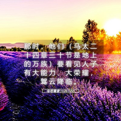 Picture 05 - 马 可 福 音 13:26 CUVS - 那 时 ， 他 们 （ 马 太 二 十 四 章 - Bible Verse Picture