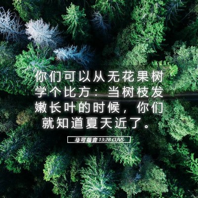 Picture 05 - 马 可 福 音 13:28 CUVS - 你 们 可 以 从 无 花 果 树 学 个 比 - Bible Verse Picture