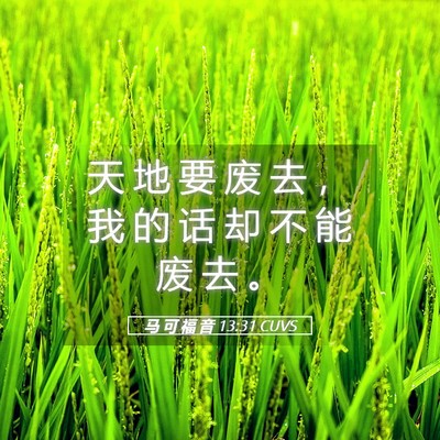 Picture 05 - 马 可 福 音 13:31 CUVS - 天 地 要 废 去 ， 我 的 话 却 不 能 - Bible Verse Picture