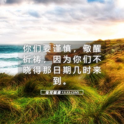 Picture 05 - 马 可 福 音 13:33 CUVS - 你 们 要 谨 慎 ， 儆 醒 祈 祷 ， 因 - Bible Verse Picture