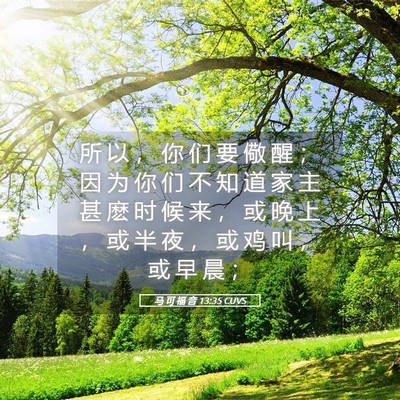 Picture 05 - 马 可 福 音 13:35 CUVS - 所 以 ， 你 们 要 儆 醒 ； 因 为 你 - Bible Verse Picture