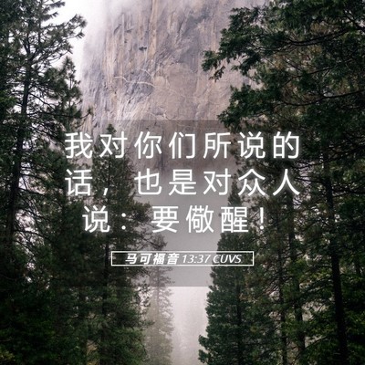 Picture 05 - 马 可 福 音 13:37 CUVS - 我 对 你 们 所 说 的 话 ， 也 是 对 - Bible Verse Picture