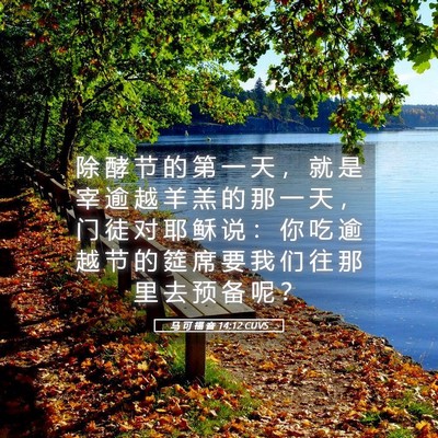 Picture 05 - 马 可 福 音 14:12 CUVS - 除 酵 节 的 第 一 天 ， 就 是 宰 逾 - Bible Verse Picture