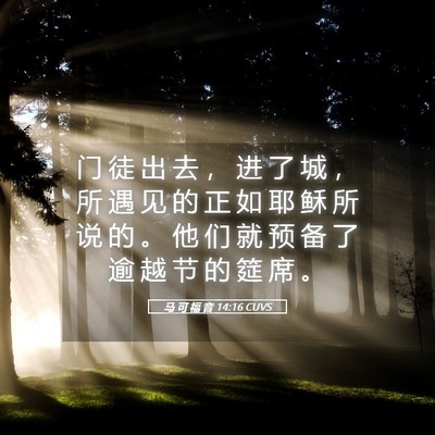Picture 05 - 马 可 福 音 14:16 CUVS - 门 徒 出 去 ， 进 了 城 ， 所 遇 见 - Bible Verse Picture