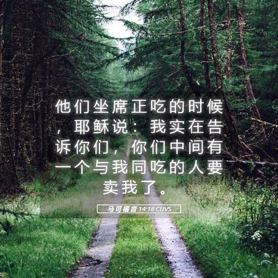 Picture 05 - 马 可 福 音 14:18 CUVS - 他 们 坐 席 正 吃 的 时 候 ， 耶 稣 - Bible Verse Picture