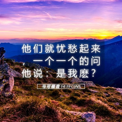 Picture 05 - 马 可 福 音 14:19 CUVS - 他 们 就 忧 愁 起 来 ， 一 个 一 个 - Bible Verse Picture