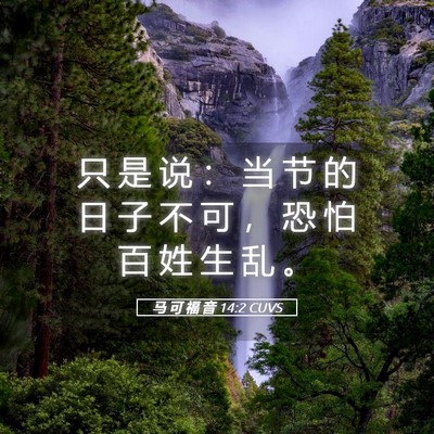 Picture 05 - 马 可 福 音 14:2 CUVS - 只 是 说 ： 当 节 的 日 子 不 可 ， - Bible Verse Picture