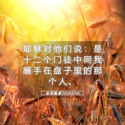 Picture 05 - 马 可 福 音 14:20 CUVS - 耶 稣 对 他 们 说 ： 是 十 二 个 门 - Bible Verse Picture