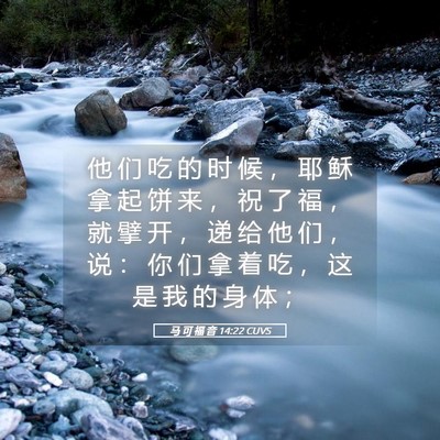 Picture 05 - 马 可 福 音 14:22 CUVS - 他 们 吃 的 时 候 ， 耶 稣 拿 起 饼 - Bible Verse Picture