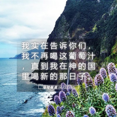 Picture 05 - 马 可 福 音 14:25 CUVS - 我 实 在 告 诉 你 们 ， 我 不 再 喝 - Bible Verse Picture