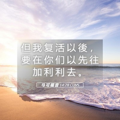 Picture 05 - 马 可 福 音 14:28 CUVS - 但 我 复 活 以 後 ， 要 在 你 们 以 - Bible Verse Picture