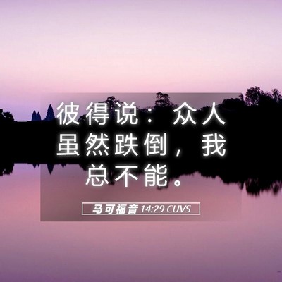 Picture 05 - 马 可 福 音 14:29 CUVS - 彼 得 说 ： 众 人 虽 然 跌 倒 ， 我 - Bible Verse Picture