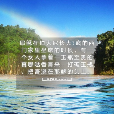 Picture 05 - 马 可 福 音 14:3 CUVS - 耶 稣 在 伯 大 尼 长 大 ? 疯 的 西 门 - Bible Verse Picture