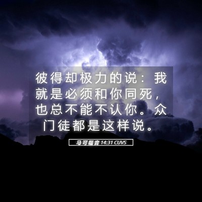 Picture 05 - 马 可 福 音 14:31 CUVS - 彼 得 却 极 力 的 说 ： 我 就 是 必 - Bible Verse Picture