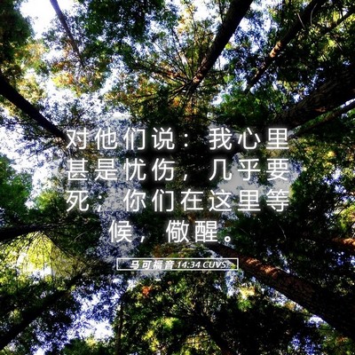 Picture 05 - 马 可 福 音 14:34 CUVS - 对 他 们 说 ： 我 心 里 甚 是 忧 伤 - Bible Verse Picture