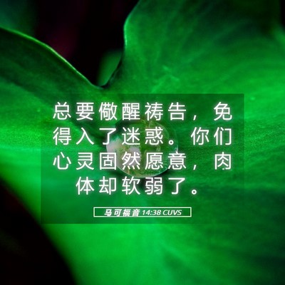 Picture 05 - 马 可 福 音 14:38 CUVS - 总 要 儆 醒 祷 告 ， 免 得 入 了 迷 - Bible Verse Picture