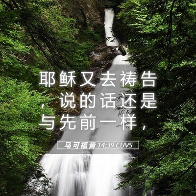 Picture 05 - 马 可 福 音 14:39 CUVS - 耶 稣 又 去 祷 告 ， 说 的 话 还 是 - Bible Verse Picture