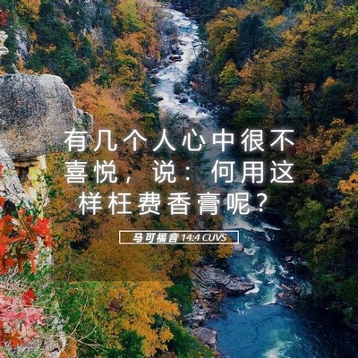 Picture 05 - 马 可 福 音 14:4 CUVS - 有 几 个 人 心 中 很 不 喜 悦 ， 说 - Bible Verse Picture