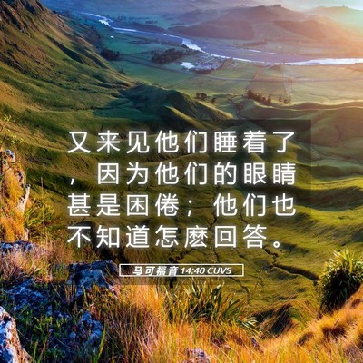 Picture 05 - 马 可 福 音 14:40 CUVS - 又 来 见 他 们 睡 着 了 ， 因 为 他 - Bible Verse Picture