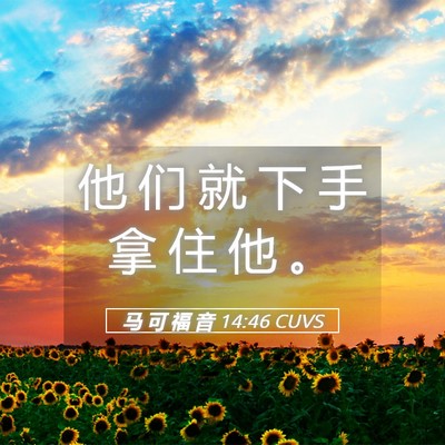 Picture 05 - 马 可 福 音 14:46 CUVS - 他 们 就 下 手 拿 住 他 - Bible Verse Picture