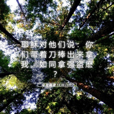 Picture 05 - 马 可 福 音 14:48 CUVS - 耶 稣 对 他 们 说 ： 你 们 带 着 刀 - Bible Verse Picture