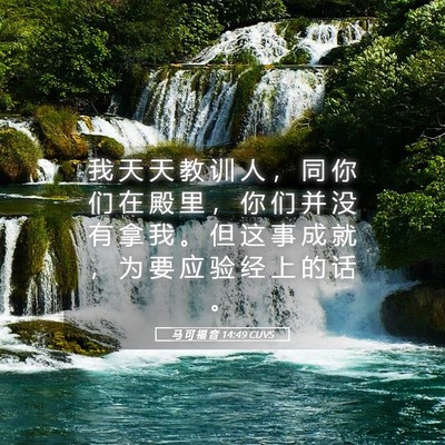 Picture 05 - 马 可 福 音 14:49 CUVS - 我 天 天 教 训 人 ， 同 你 们 在 殿 - Bible Verse Picture