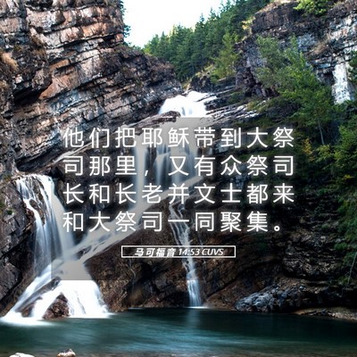 Picture 05 - 马 可 福 音 14:53 CUVS - 他 们 把 耶 稣 带 到 大 祭 司 那 里 - Bible Verse Picture