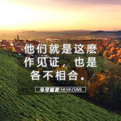 Picture 05 - 马 可 福 音 14:59 CUVS - 他 们 就 是 这 麽 作 见 证 ， 也 是 - Bible Verse Picture
