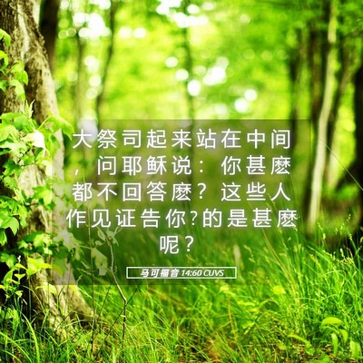 Picture 05 - 马 可 福 音 14:60 CUVS - 大 祭 司 起 来 站 在 中 间 ， 问 耶 - Bible Verse Picture