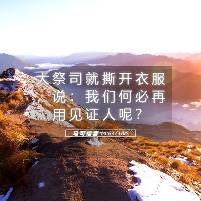 Picture 05 - 马 可 福 音 14:63 CUVS - 大 祭 司 就 撕 开 衣 服 ， 说 ： 我 - Bible Verse Picture
