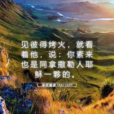 Picture 05 - 马 可 福 音 14:67 CUVS - 见 彼 得 烤 火 ， 就 看 着 他 ， 说 - Bible Verse Picture