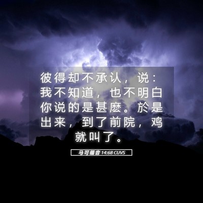 Picture 05 - 马 可 福 音 14:68 CUVS - 彼 得 却 不 承 认 ， 说 ： 我 不 知 - Bible Verse Picture