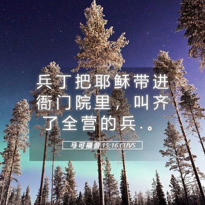 Picture 05 - 马 可 福 音 15:16 CUVS - 兵 丁 把 耶 稣 带 进 衙 门 院 里 ， - Bible Verse Picture