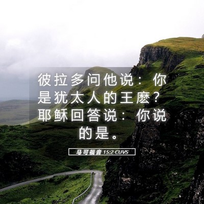 Picture 05 - 马 可 福 音 15:2 CUVS - 彼 拉 多 问 他 说 ： 你 是 犹 太 人 - Bible Verse Picture