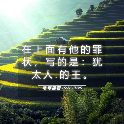 Picture 05 - 马 可 福 音 15:26 CUVS - 在 上 面 有 他 的 罪 状 ， 写 的 是 - Bible Verse Picture