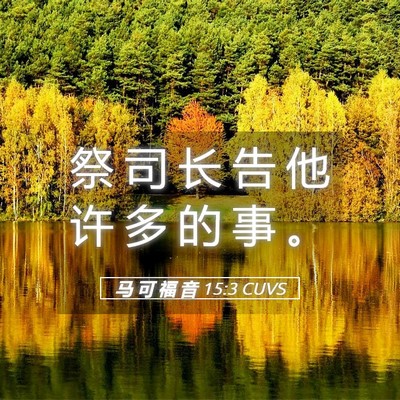 Picture 05 - 马 可 福 音 15:3 CUVS - 祭 司 长 告 他 许 多 的 事 - Bible Verse Picture