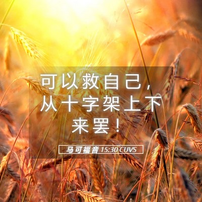 Picture 05 - 马 可 福 音 15:30 CUVS - 可 以 救 自 己 ， 从 十 字 架 上 下 - Bible Verse Picture