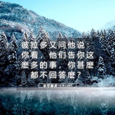 Picture 05 - 马 可 福 音 15:4 CUVS - 彼 拉 多 又 问 他 说 ： 你 看 ， 他 - Bible Verse Picture