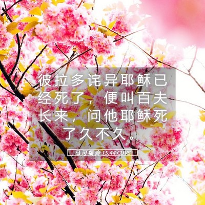 Picture 05 - 马 可 福 音 15:44 CUVS - 彼 拉 多 诧 异 耶 稣 已 经 死 了 ， - Bible Verse Picture
