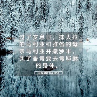 Picture 05 - 马 可 福 音 16:1 CUVS - 过 了 安 息 日 ， 抹 大 拉 的 马 利 - Bible Verse Picture