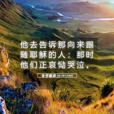 Picture 05 - 马 可 福 音 16:10 CUVS - 他 去 告 诉 那 向 来 跟 随 耶 稣 的 - Bible Verse Picture