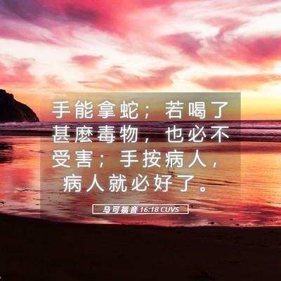 Picture 05 - 马 可 福 音 16:18 CUVS - 手 能 拿 蛇 ； 若 喝 了 甚 麽 毒 物 - Bible Verse Picture