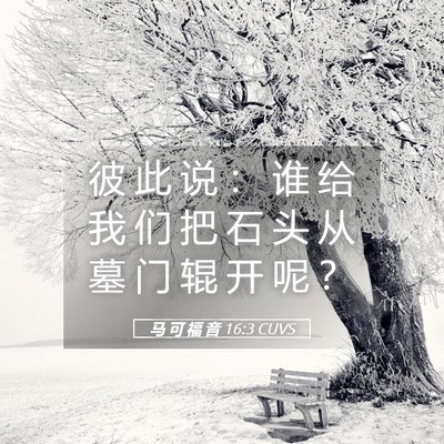 Picture 05 - 马 可 福 音 16:3 CUVS - 彼 此 说 ： 谁 给 我 们 把 石 头 从 - Bible Verse Picture