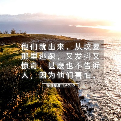 Picture 05 - 马 可 福 音 16:8 CUVS - 他 们 就 出 来 ， 从 坟 墓 那 里 逃 - Bible Verse Picture