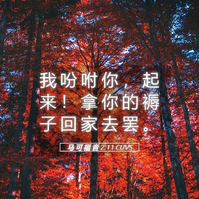 Picture 05 - 马 可 福 音 2:11 CUVS - 我 吩 咐 你 ， 起 来 ！ 拿 你 的 褥 - Bible Verse Picture