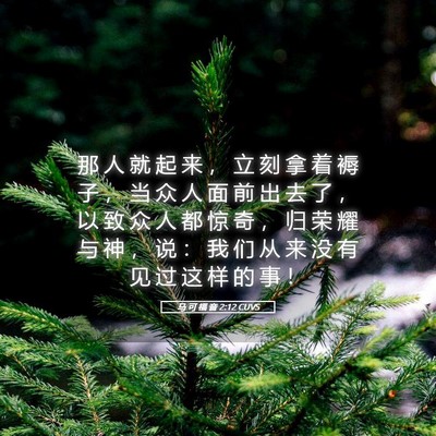 Picture 05 - 马 可 福 音 2:12 CUVS - 那 人 就 起 来 ， 立 刻 拿 着 褥 子 - Bible Verse Picture