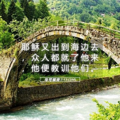 Picture 05 - 马 可 福 音 2:13 CUVS - 耶 稣 又 出 到 海 边 去 ， 众 人 都 - Bible Verse Picture