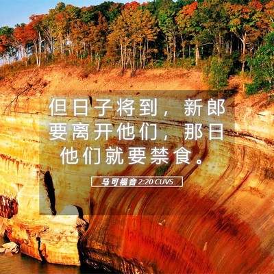 Picture 05 - 马 可 福 音 2:20 CUVS - 但 日 子 将 到 ， 新 郎 要 离 开 他 - Bible Verse Picture