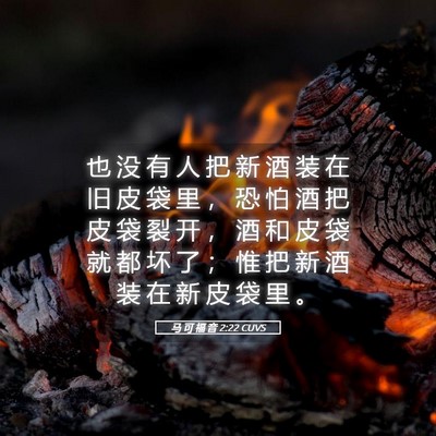 Picture 05 - 马 可 福 音 2:22 CUVS - 也 没 有 人 把 新 酒 装 在 旧 皮 袋 - Bible Verse Picture